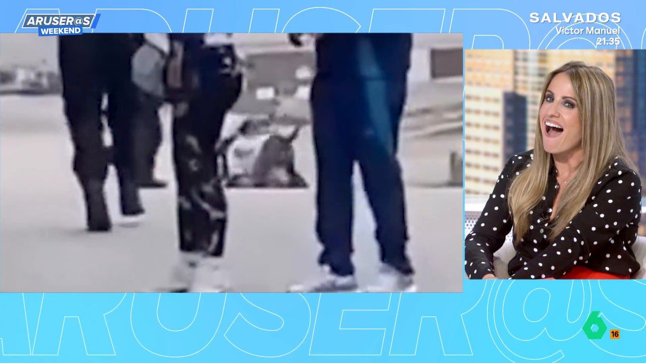 El vídeo del perro callejero ayuda a la Policía a alcanzar a un ladrón: «Él es el héroe»