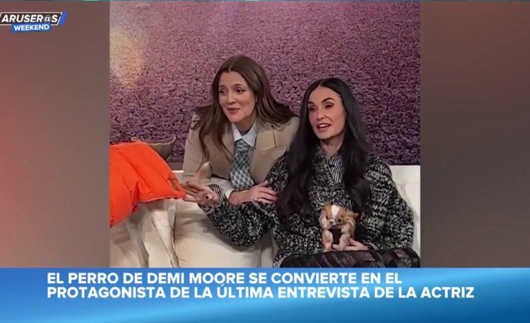 así son Pilaf y Douglas