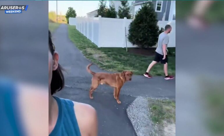 ¿a quién quiere más de los dos?