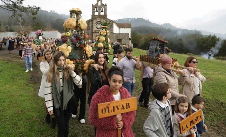 esta es la centenaria propuesta de Seloriu