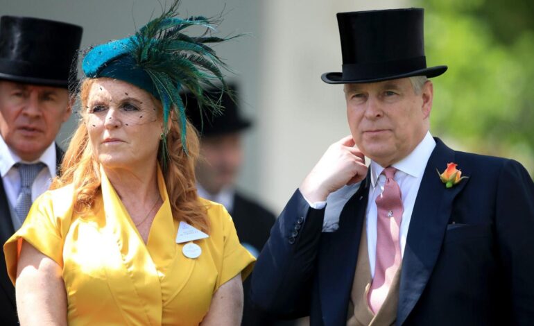 todos los detalles de su cita