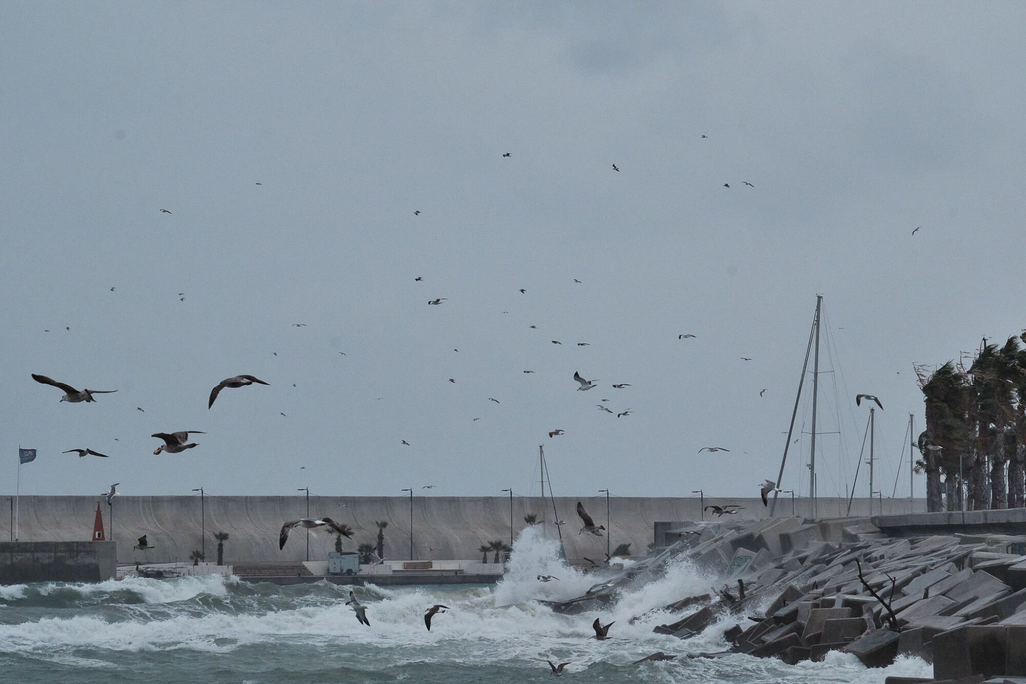 Málaga sufre los efectos del viento y la lluvia durante la alerta naranja