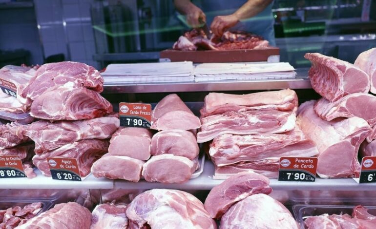 El PP denuncia que los controles frente a enfermedades en los puertos son «insuficientes»