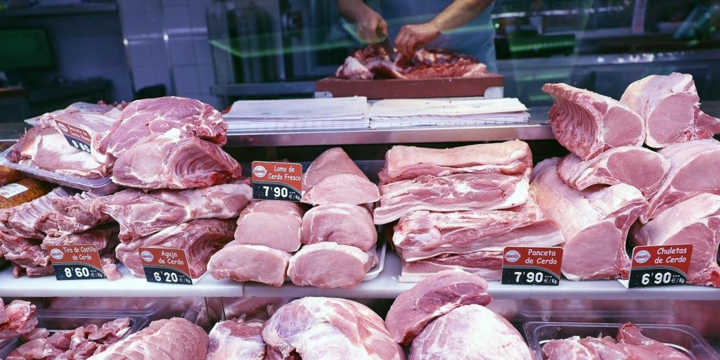 El PP denuncia que los controles frente a enfermedades en los puertos son «insuficientes»