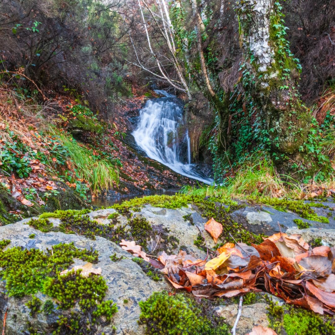 Parc Naturel O Invernadeiro, Orense, Galice
