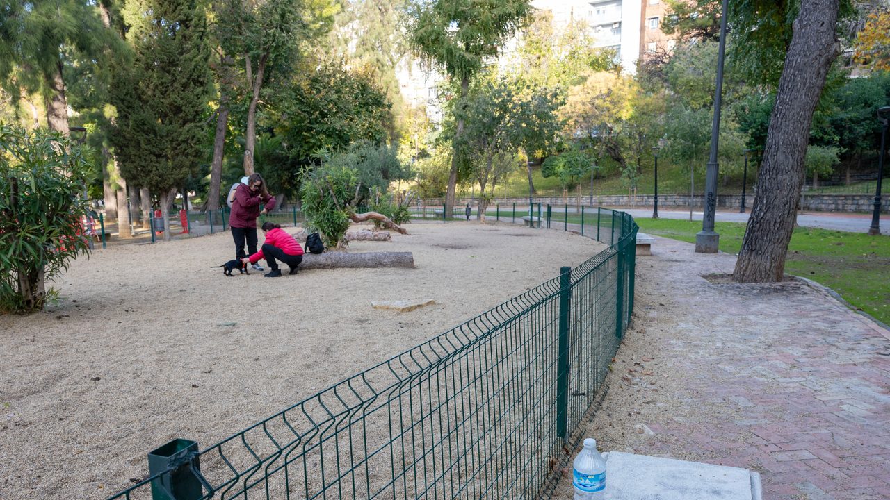 la Policía analiza el ordenador de una de ellas