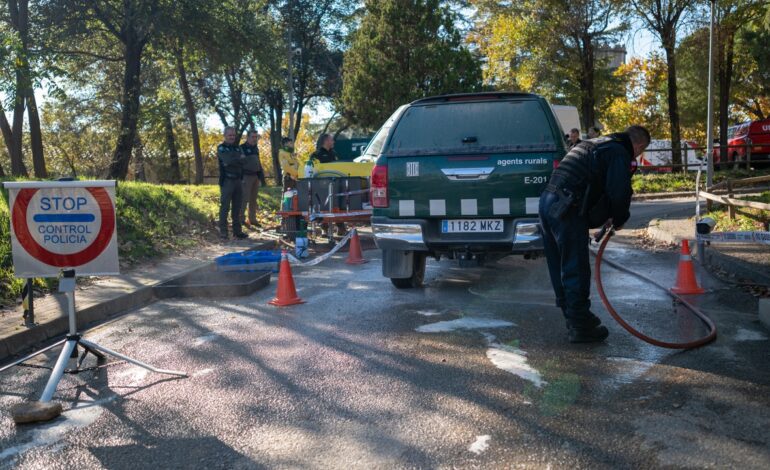 quinto día de alerta sanitaria y 9 casos confirmados