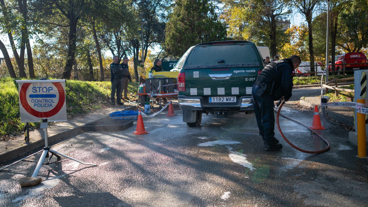 quinto día de alerta sanitaria y 9 casos confirmados