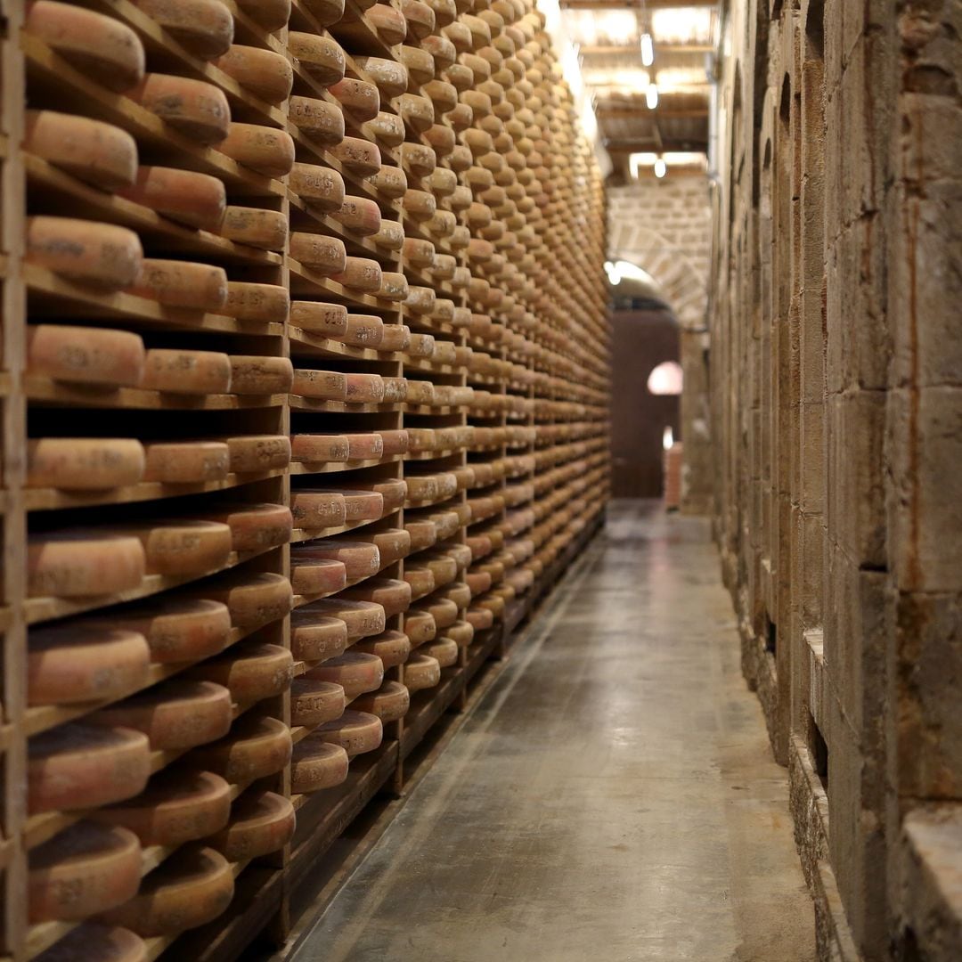 Comté, uno de los quesos más populares y consumidos en Francia