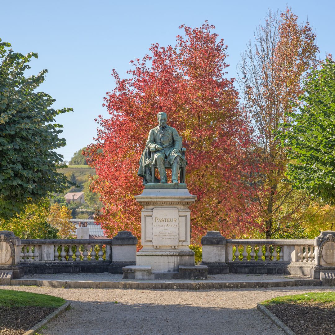 Estatua de Louis Pasteur en Arbois, Francia