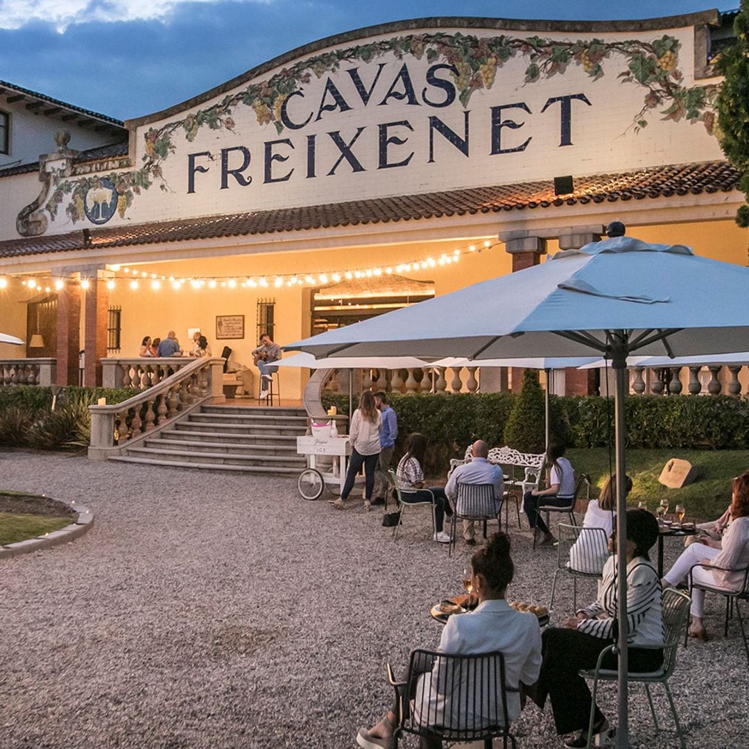 Visita las mejores bodegas de cava de Cataluña en Navidad: Freixenet