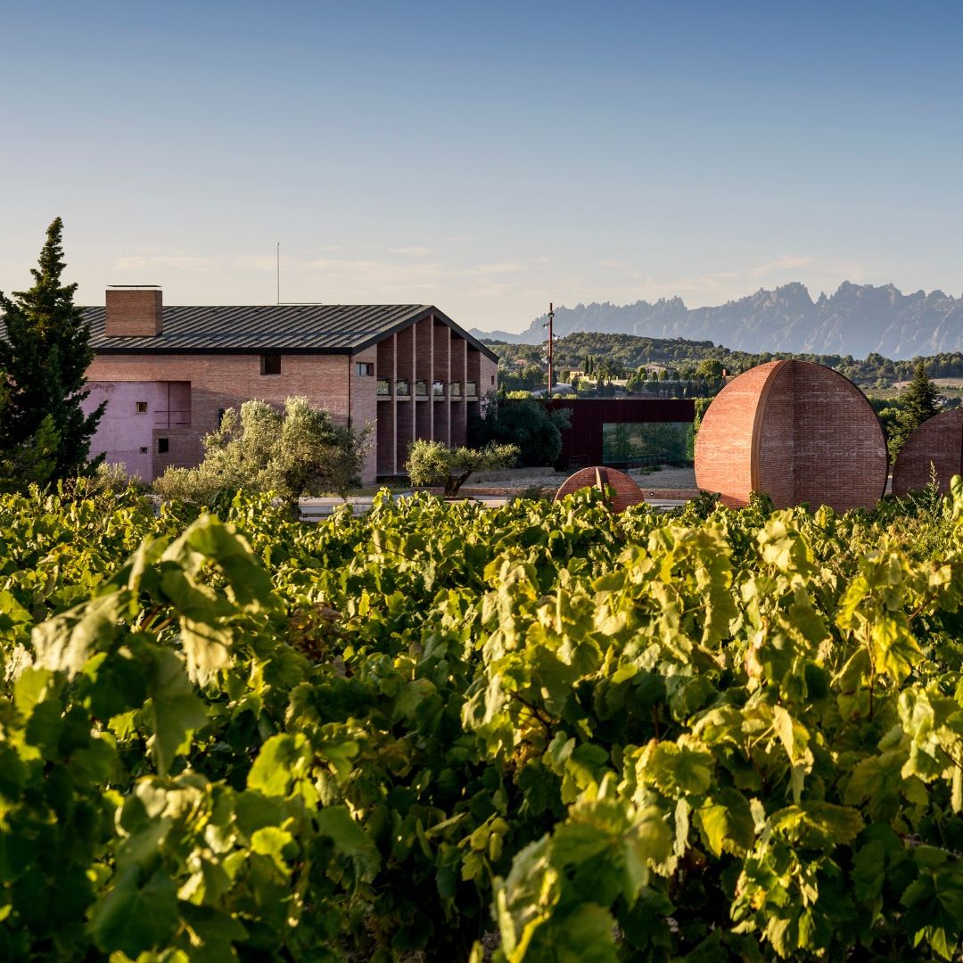 Visita las mejores bodegas de cava de Cataluña en Navidad: Juve&Camps