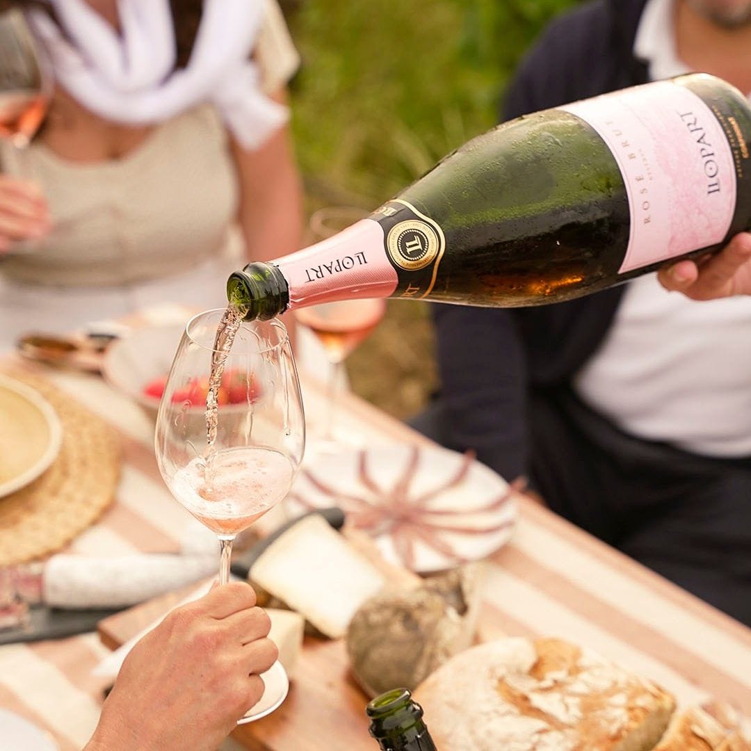 Visita las mejores bodegas de cava de Cataluña esta Navidad: Llopart