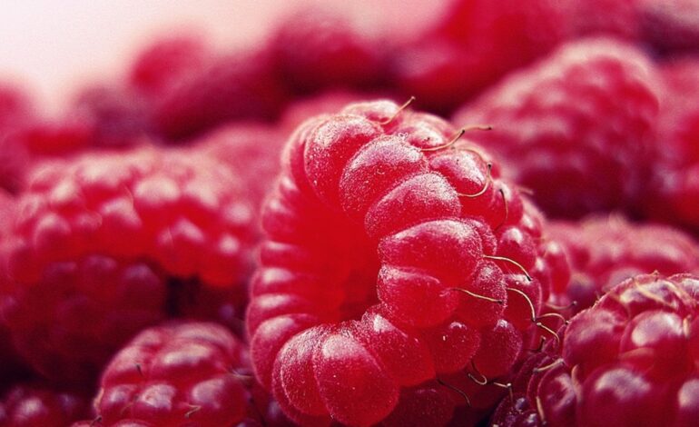 Una mujer envenena a tres adolescentes con frambuesas tras una ruptura amorosa con el padre de una de ellas