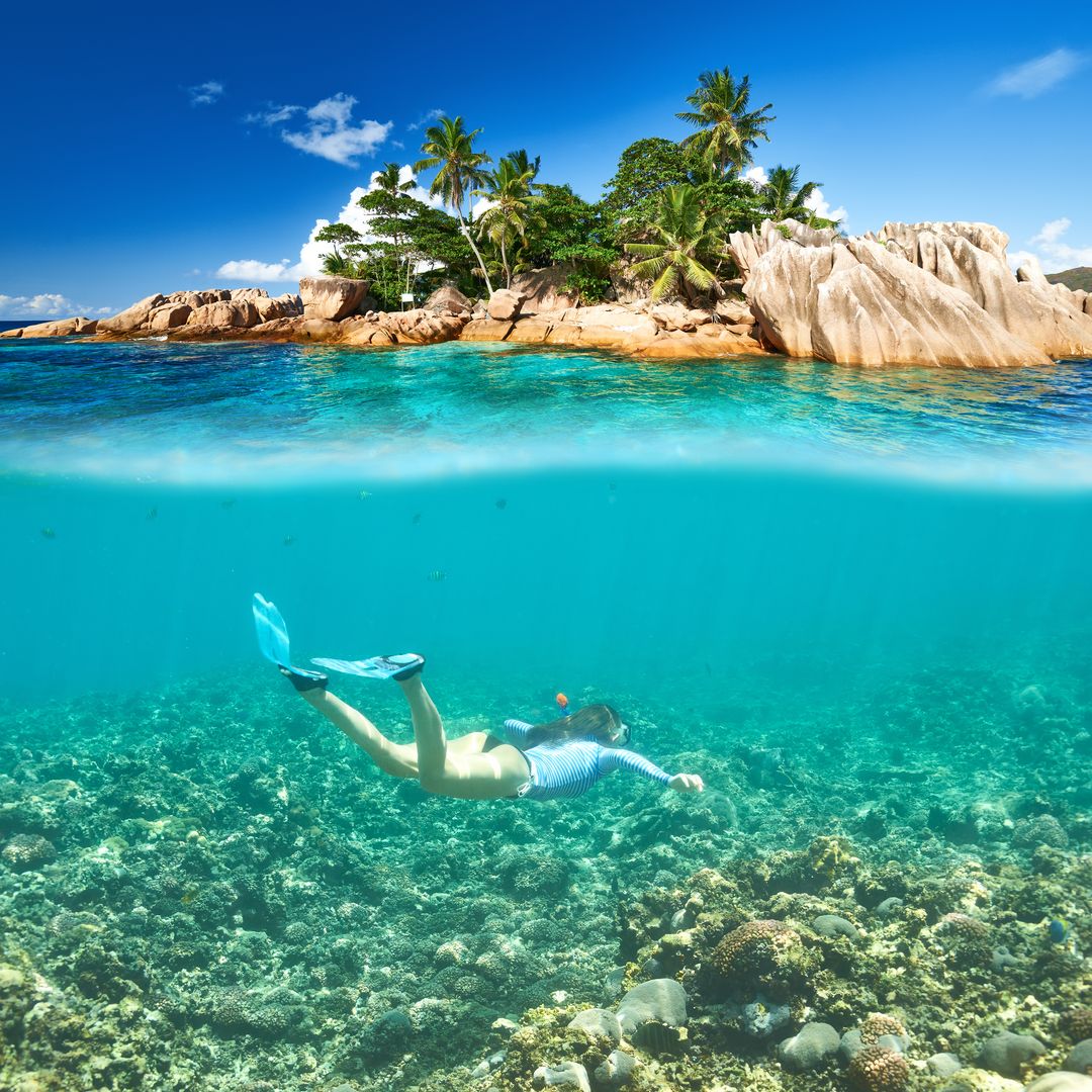Bucear en Seychelles
