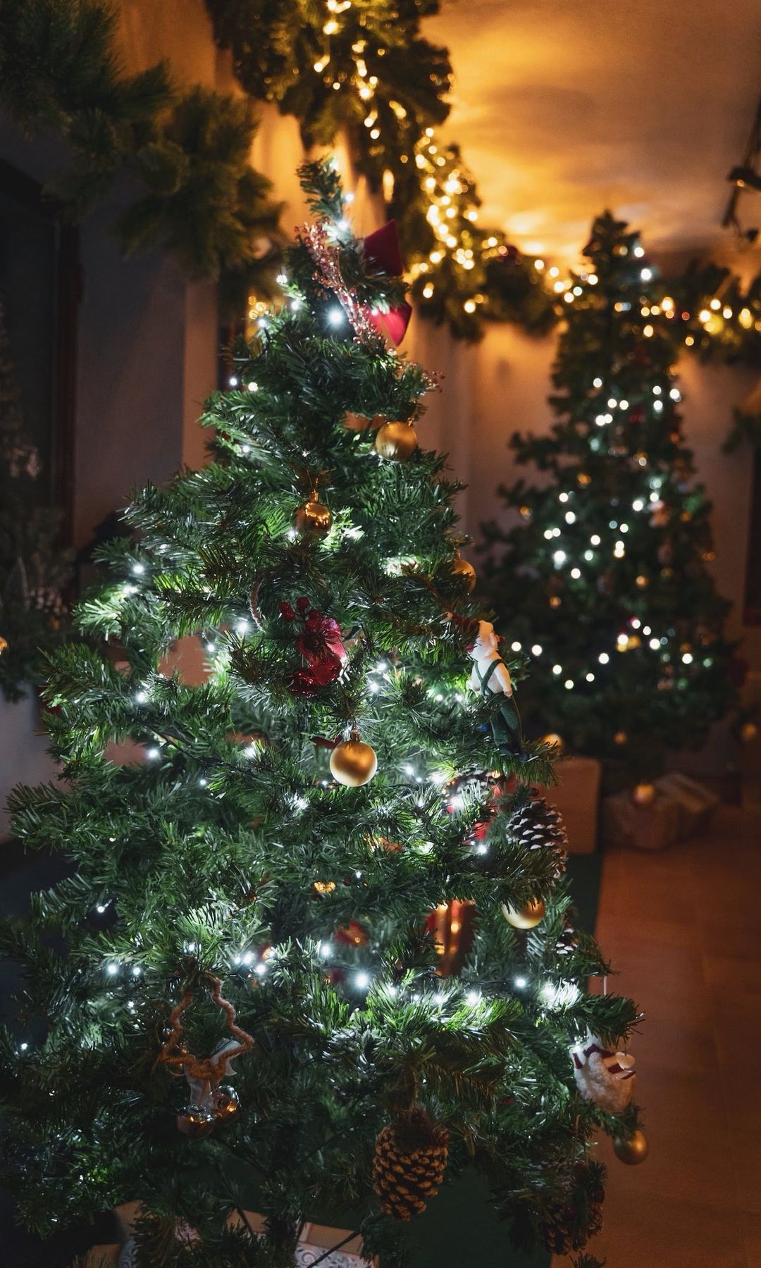 Navidad 2025-2026 en la localidad madrileña de Navacerrada