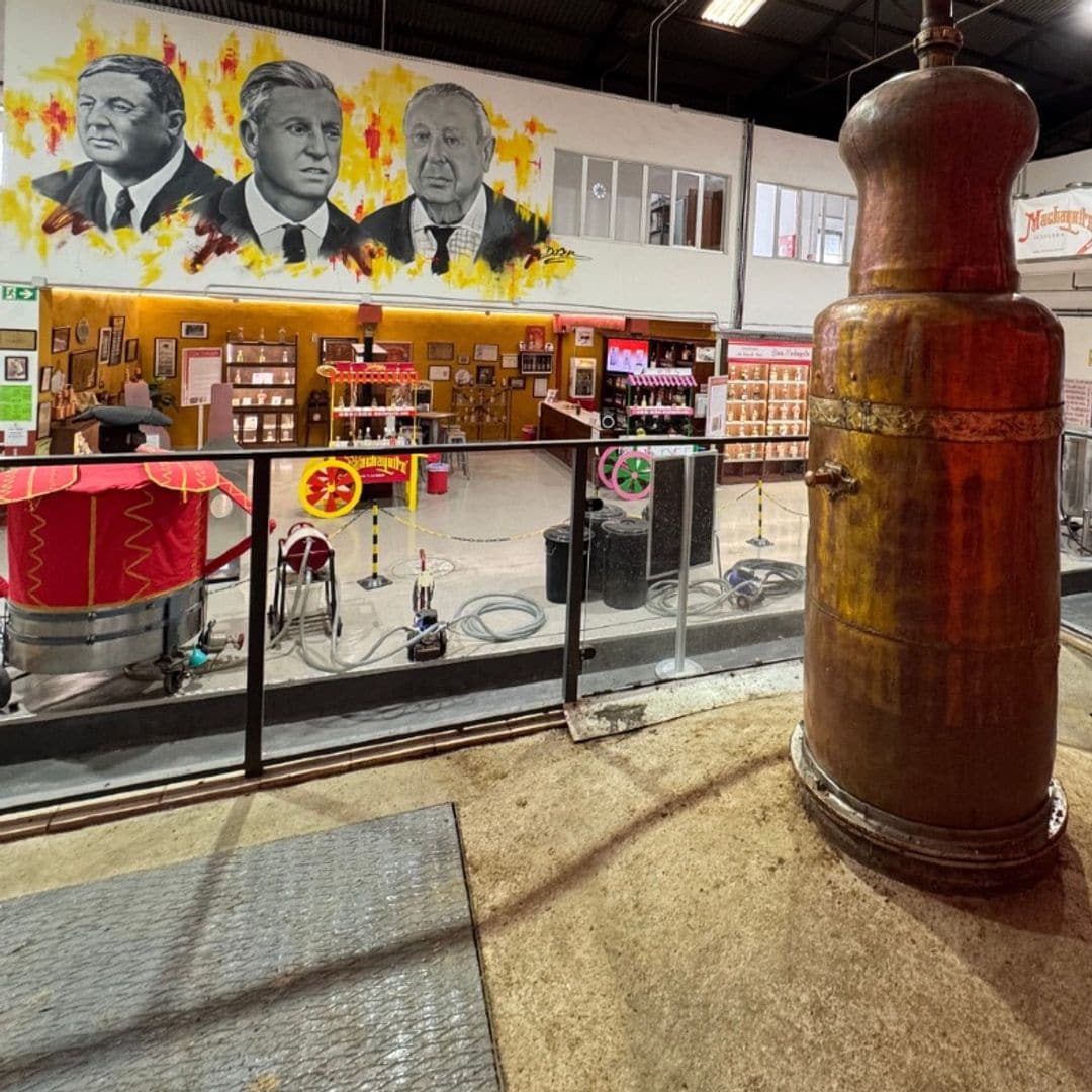 Destilería Machaquito en Rute, Córdoba