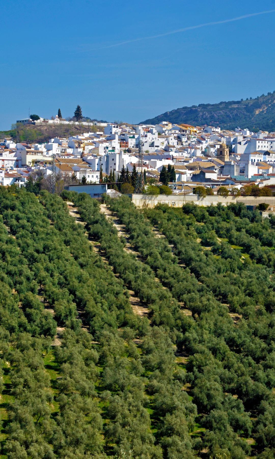 Vista general del pueblo de Rute en Córdoba
