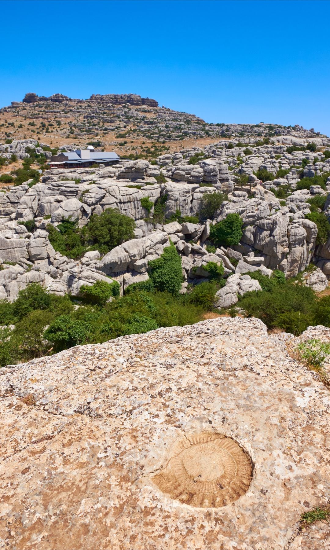 Paisaje kárstico de El Torcal Antequera