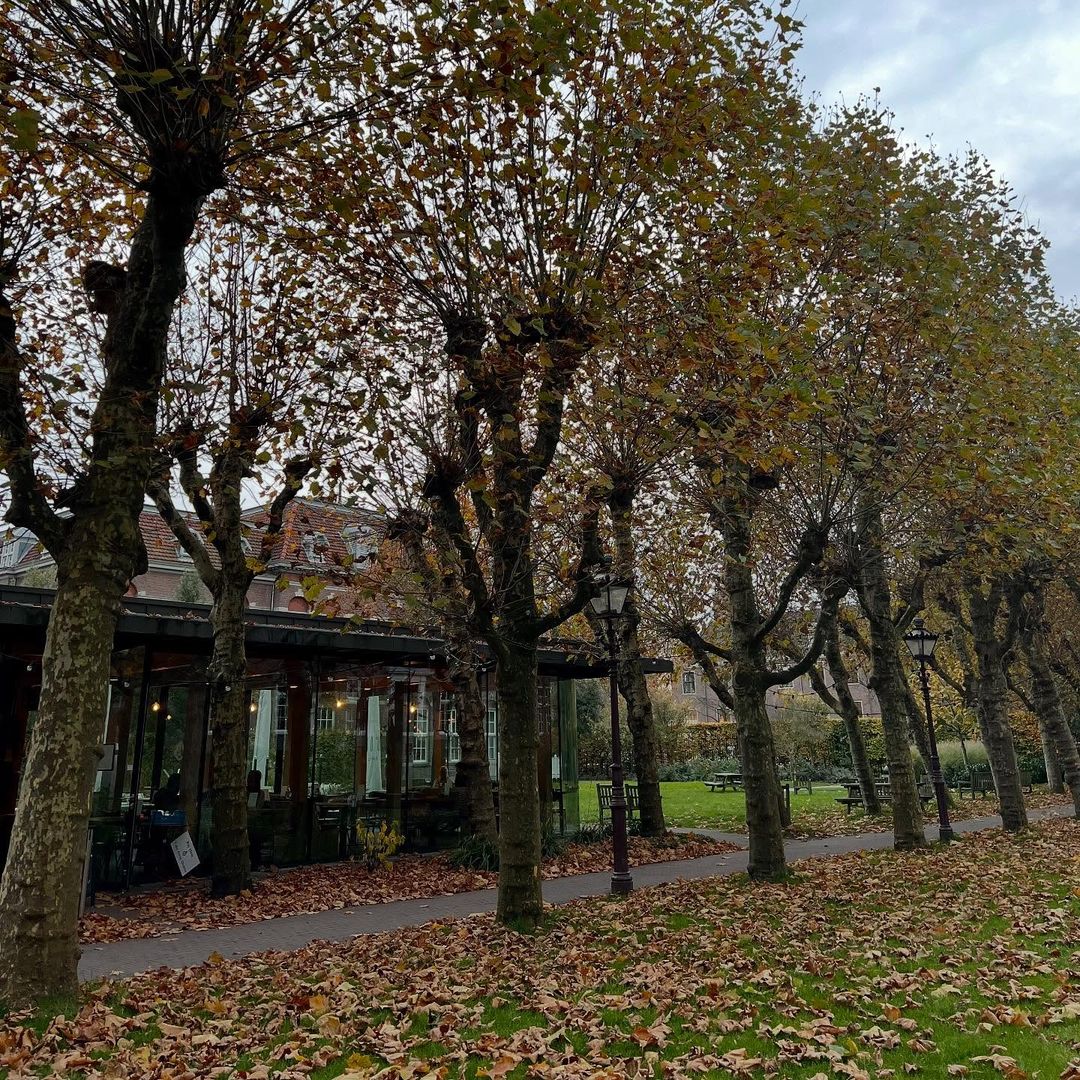 Café Dignita Hoftuin en Ámsterdam