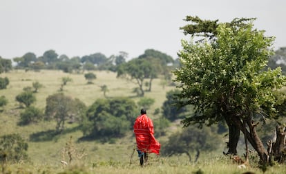 La reserva nacional de Masái Mara recibe su nombre por la tribu de los masái.
