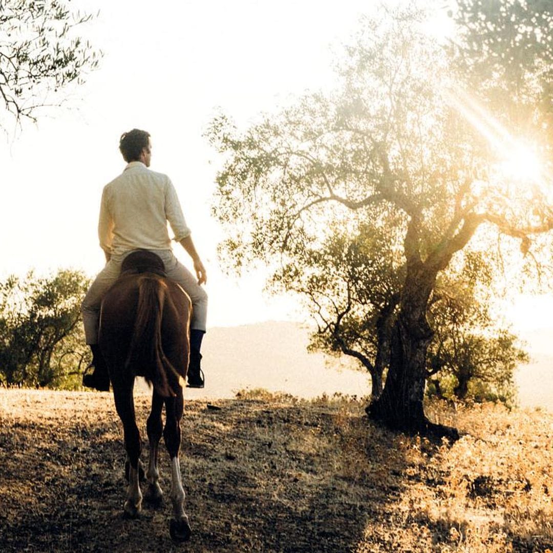 hoviajes 2124 Sevilla