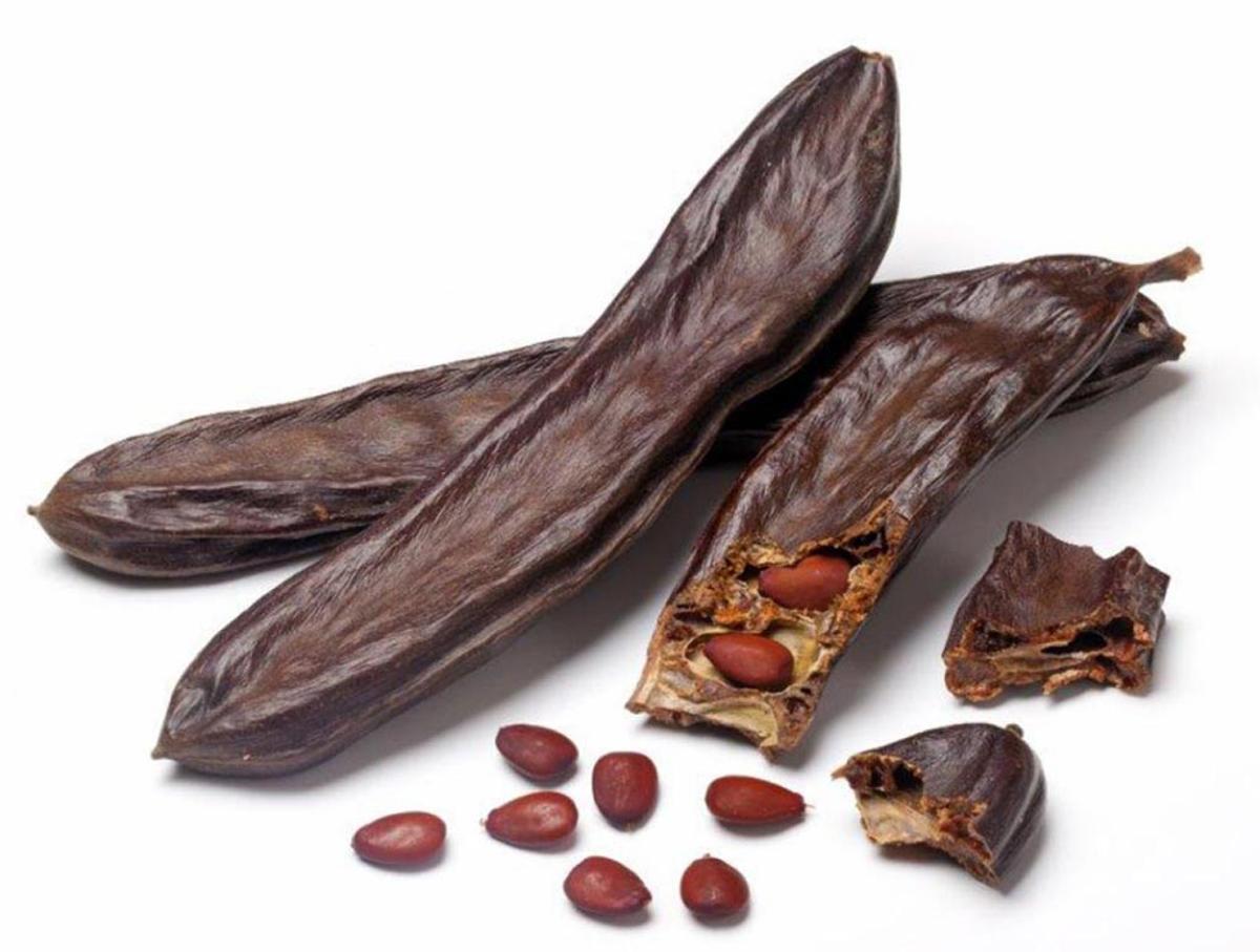 La algarroba ya se utiliza en muchos lugares para hacer chocolate.