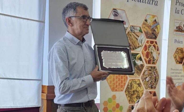 la avispa asiática y la sequía desploman a la mitad la producciónca y la sequía desploman a la mitad la producción