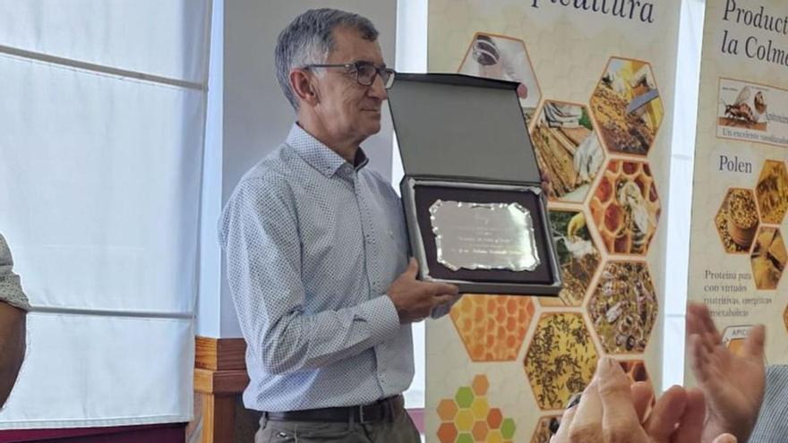 la avispa asiática y la sequía desploman a la mitad la producciónca y la sequía desploman a la mitad la producción