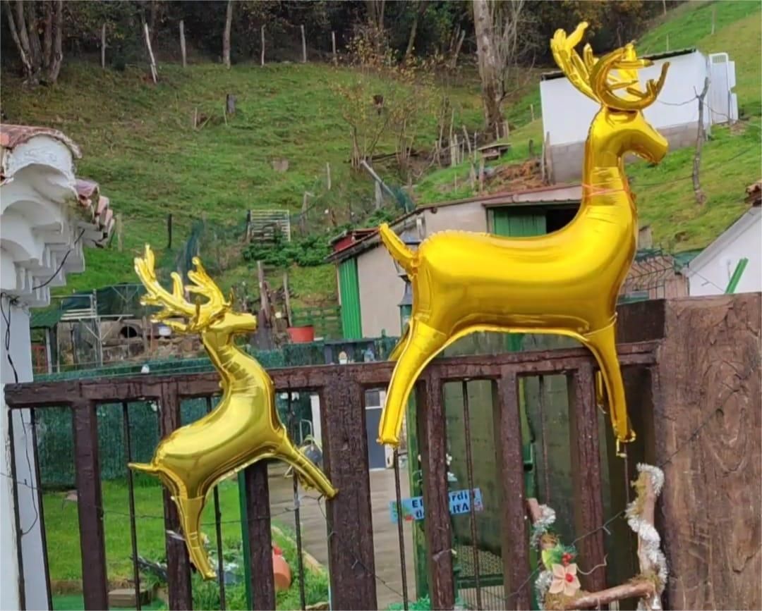 This is the most decorated house for Christmas in Santa Cruz de Llanera