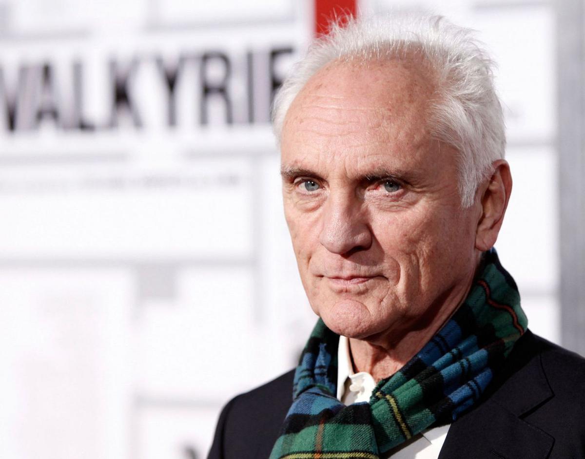 L’actor britànic Terence Stamp, en una imatge d’arxiu. | MATT SAYLES / AP