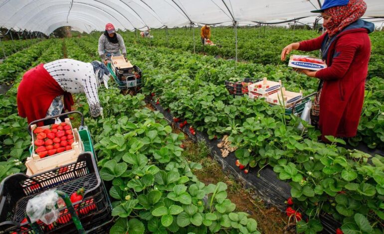 un sector que genera más de 150.000 empleos y que tiene en el agua su gran desafío