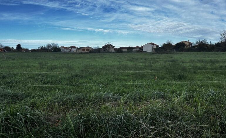 ROBOS VILLADEMAR | Una oleada de robos en Villademar pone en alerta a los vecinos