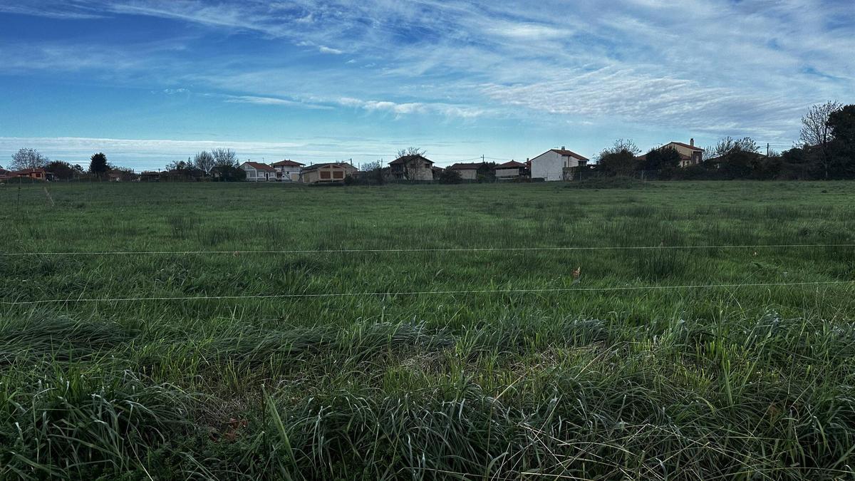 ROBOS VILLADEMAR | Una oleada de robos en Villademar pone en alerta a los vecinos