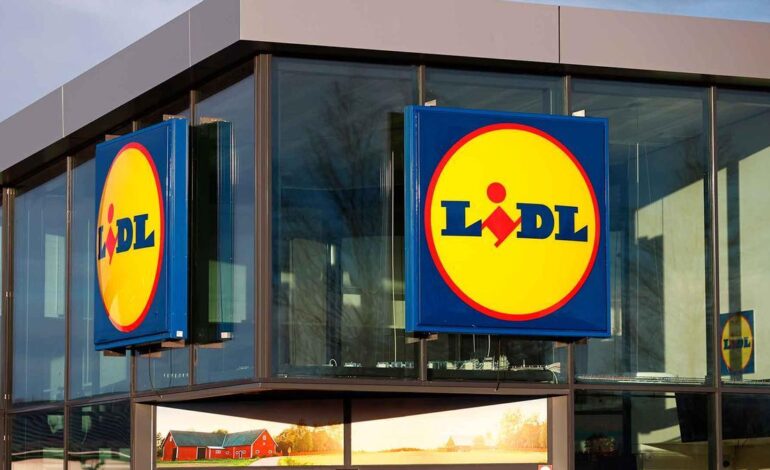 Lidl arrasa con su funda térmica para el coche que lo protege en el exterior como si estuviera dentro del garaje (y por menos de 15 euros)