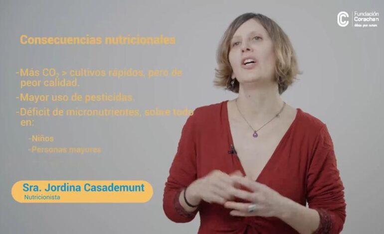 ¿Cómo afecta el cambio climático en la nutrición?