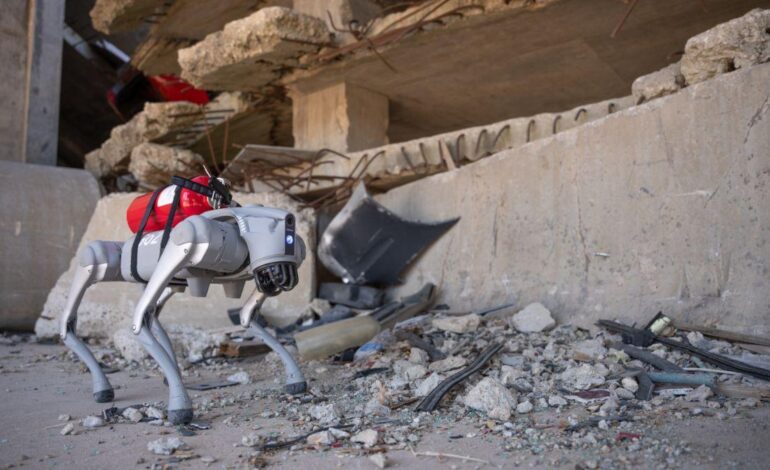 visión y memoria humanas para misiones de rescate