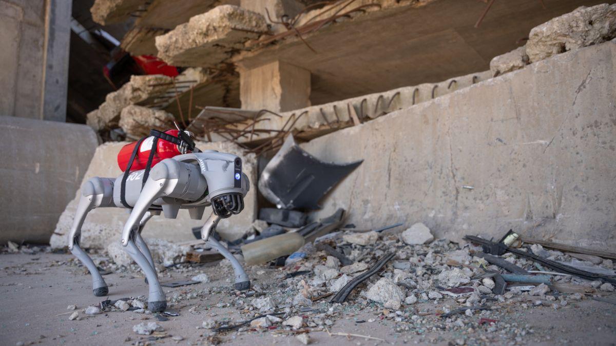 visión y memoria humanas para misiones de rescate