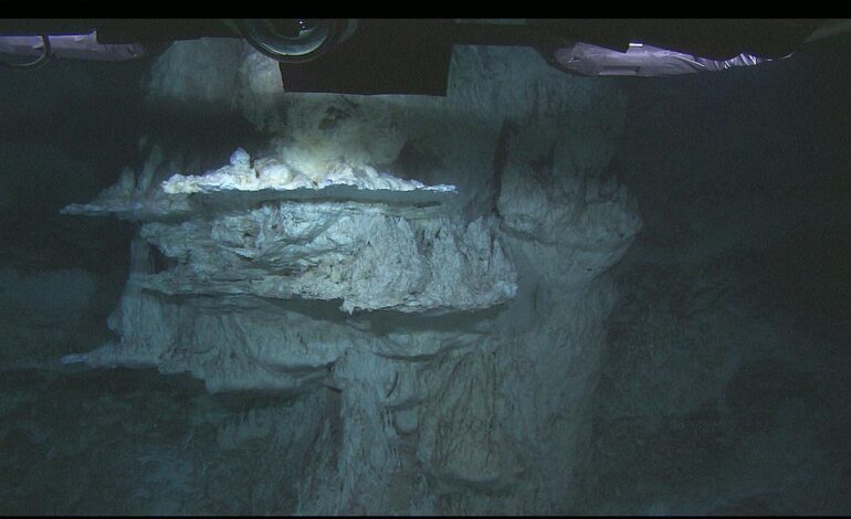 habría sido crucial para el surgimiento de la vida