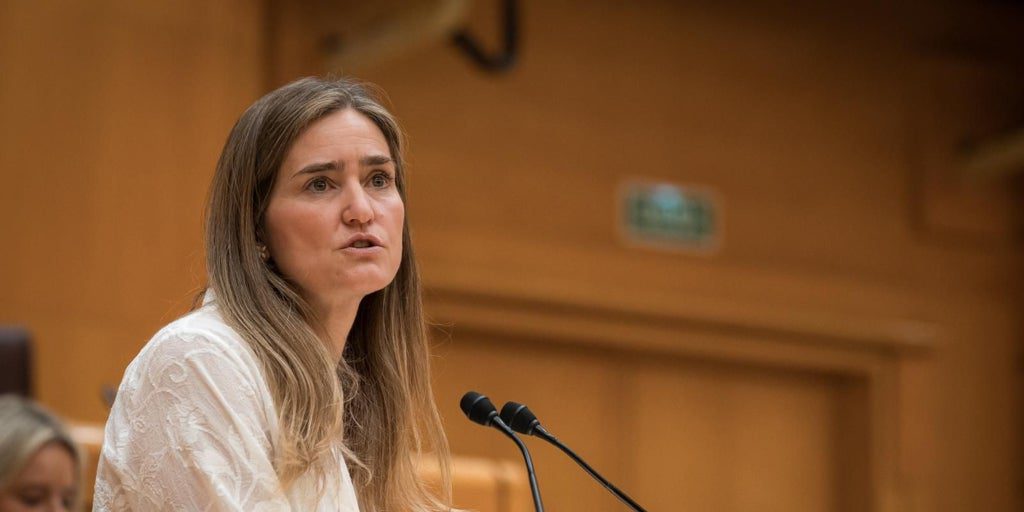 El Gobierno propone subir más de un 10% una parte fija del recibo de la luz