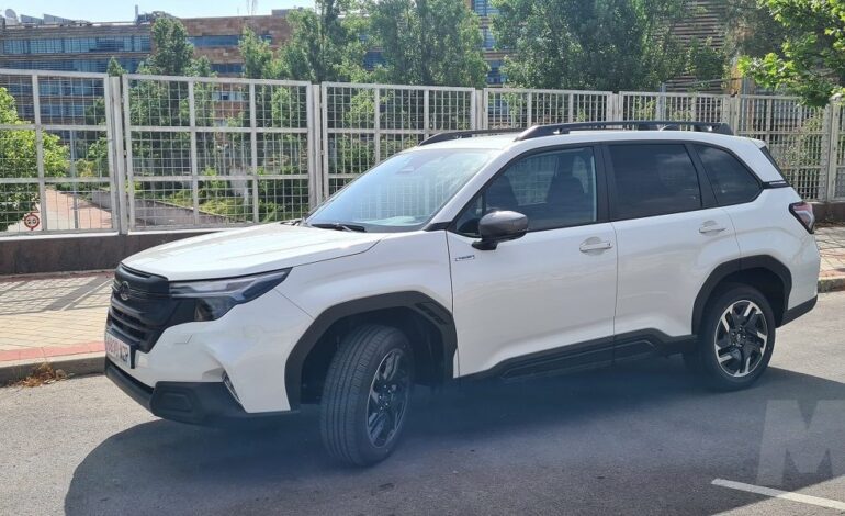 Subaru Forester 2025, terrenos