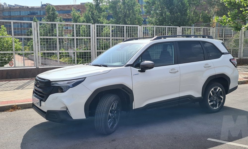 Subaru Forester 2025, terrenos