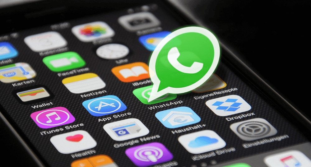 Icono de la aplicación WhatsApp en el teléfono móvil