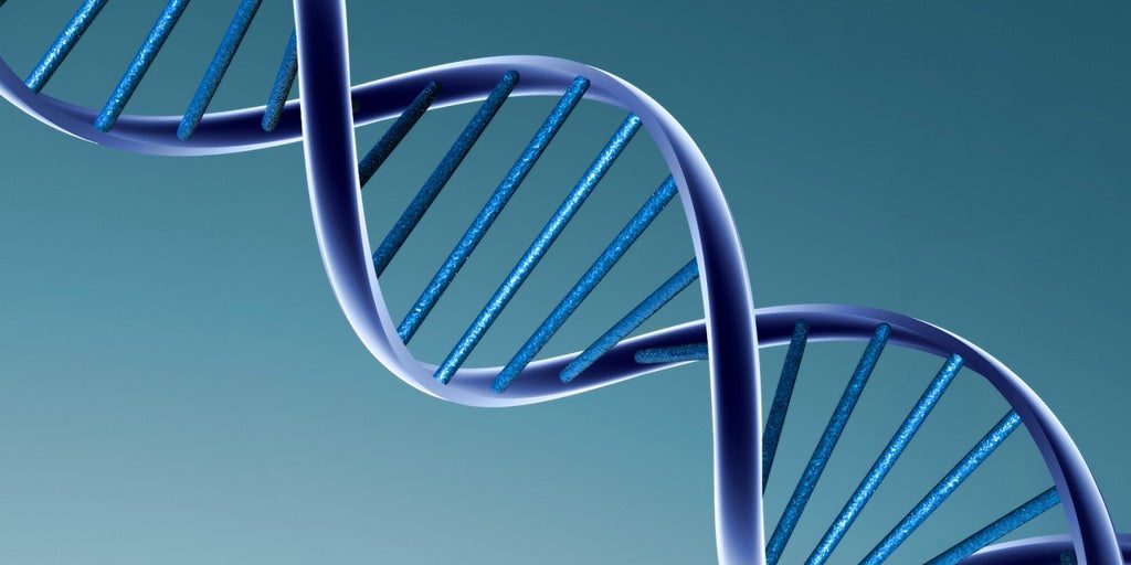 Tu ADN dice mucho de ti, incluso si te gusta el brócoli