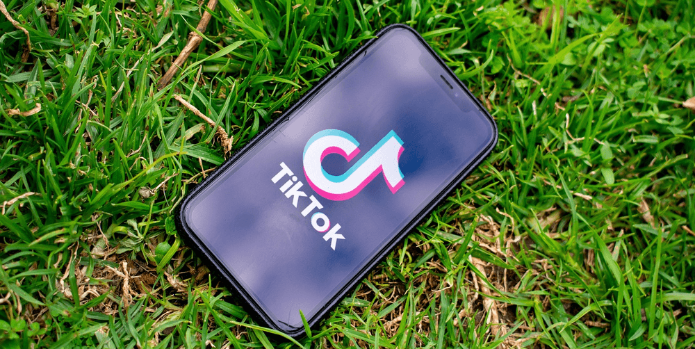 Teléfono móvil con logo de TikTok sobre el césped