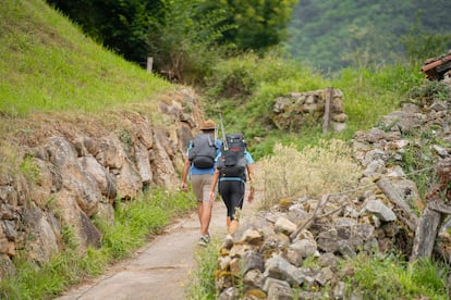 Algunos peregrinos, cerca de Sobrelapeña.