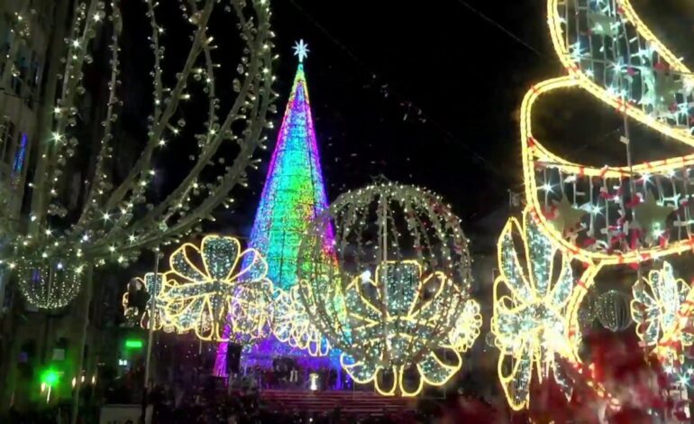 Ecologistas denuncian que el alumbrado navideño de Gáldar daña especies protegidas de árboles