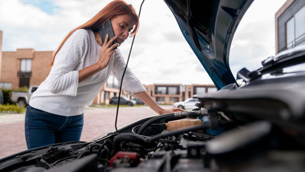 ¿qué tipo de conductor hace cada cosa?