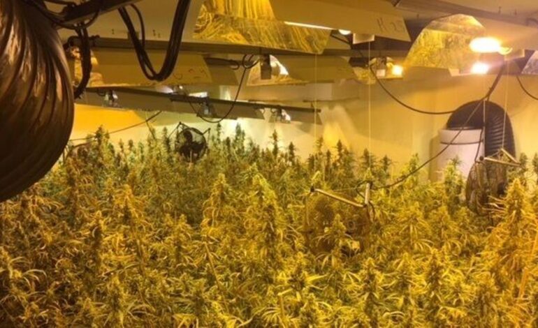 La UE pierde frente al narco