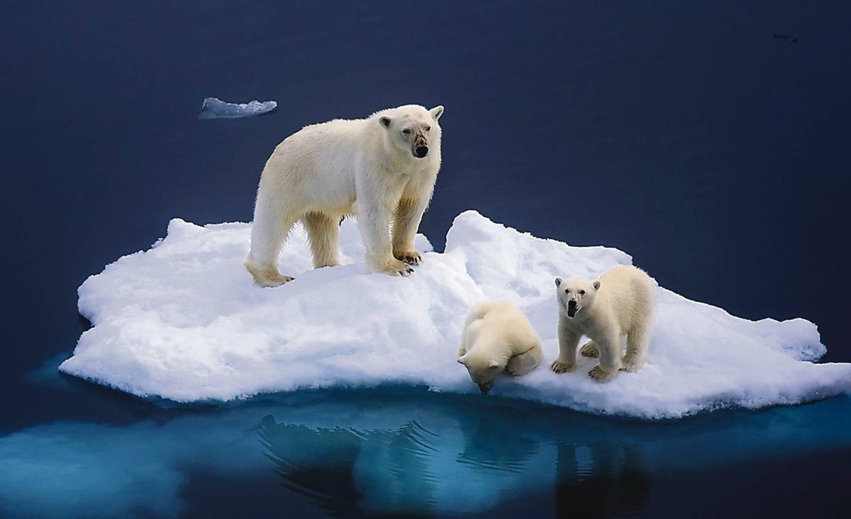 El Ártico se está derritiendo tres veces más rápido que el resto del planeta